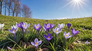 Какво време ни очаква на Цветница