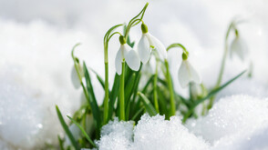 Март 2026 г. е по-студен от миналогодишния