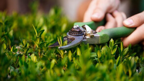 5 причини да превърнете празната стена в жива картина