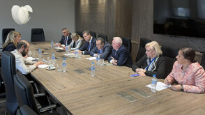 ДПС алармира ОССЕ за полицейски натиск от служебната власт в полза на други участници