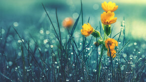 Оранжев и жълт код за значителни валежи в четвъртък