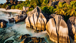 Сейшелите: Пътешествие до Валe де Мей и легендарния Коко де мер (ВИДЕО)