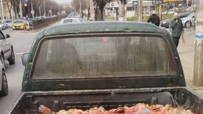 След пост в социални мрежи: Глобиха шофьор, незаконно превозващ животински вътрешности (СНИМКА)