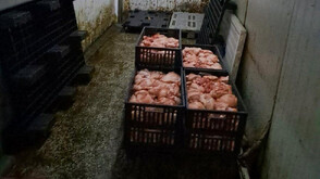 Унищожават 10 тона продукция на месокомбинат в Свищов