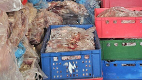 Разкриха втора незаконна кланица в Дебелец