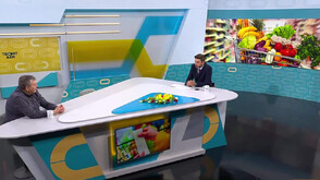 Съвети за избор на свежи продукти за празничната трапеза