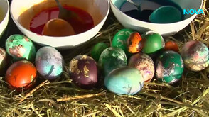 Боядисаха великденски яйца от над 40 вида птици в зоопарка в Бургас