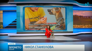„Време за надежда“: Никол Станкулова търси верен приятел за Капучино