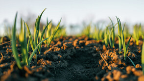 Растящите разходи в земеделието водят до напрежение в сектора