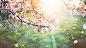 Какво време ни очаква в изборния ден и през следващата седмица