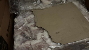 БАБХ унищожи стотици килограми месо и запечата склад в Луковит