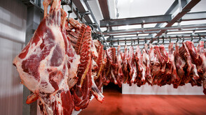 Унищожиха над 7 тона негодно месо от кланица в Търговишко