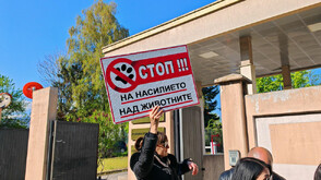Протест пред Софийския градски съд срещу насилниците на животни