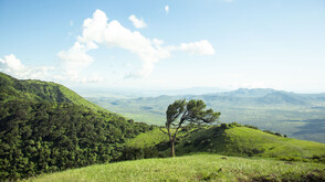 Жълт код за силен вятър в Северна България в неделя
