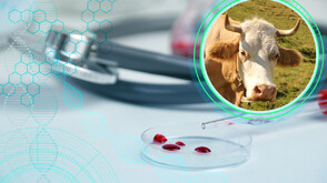 Заради антракса в Силистренско: 24 души са под медицинско наблюдение и се лекуват с антибиотици