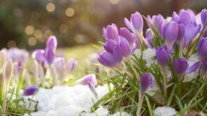 Къде ще вали пролетен сняг в следващите дни