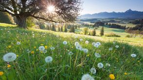 От -3 до 35 градуса: Какво време ни очаква през месец май