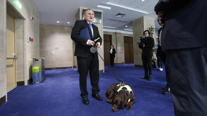 Кучето Роувър придружи незрящия депутат Иван Янев в парламента (ВИДЕО+СНИМКИ)