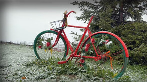 Сняг заваля в Троянско