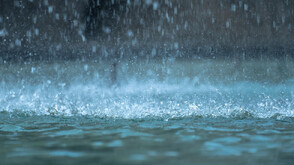Земеделското министерство оказва пълно съдействие на пострадалите стопани от наводненията в Северна България