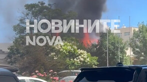 Пожар избухна близо до хотели в Слънчев бряг (СНИМКИ)