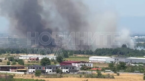 Голям пожар избухна край Околовръстното на Пловдив (ВИДЕО)
