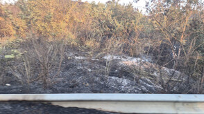 Пожар гори в района на село Лешница край Сандански