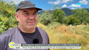 Абсурдните реалности в българското животновъдство