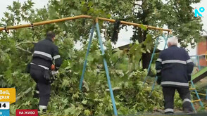 „За секунди стана като ураган“: Бурята повали дървета и блокира пътища край Петрич
