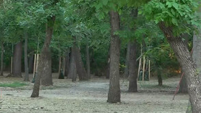 Какво се вижда на записите от камери на мястото на смъртоносния побой в Пловдив