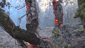Хеликоптер се включи в гасенето на пожара в Сакар
