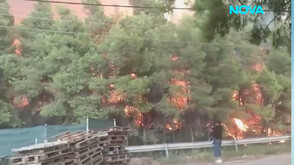 Огромният пожар на Халкидики е овладян (ВИДЕО)