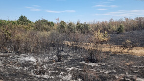 Овладяха пожара край село Камен връх