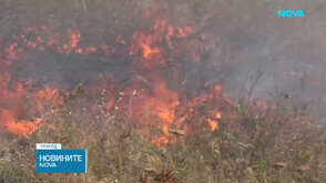 142 пожара и двама пострадали за последното денонощие