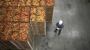 Разходите на българските земеделци скочиха с над 8%, продукцията поевтинява