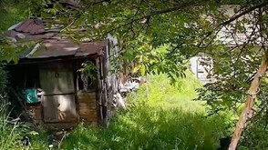 „Нищо лично”: Училище в гората