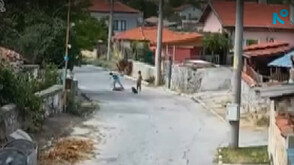 Проверяват случай на деца, били, влачили и душили куче в Пазарджишко (ВИДЕО)