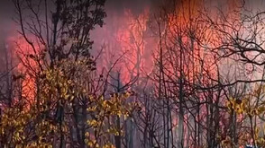 Безсънна нощ за огнеборците в Хасковско заради пожара край Горно Луково