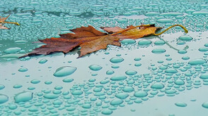 Orange and Yellow Weather Alerts for Heavy Rain in Bulgaria