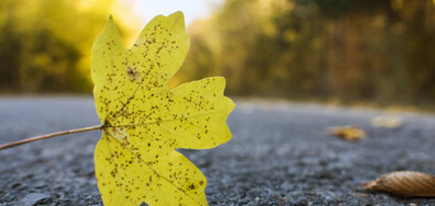 Есен в Европа: Най-подходящите градове за екскурзия (ГАЛЕРИЯ)