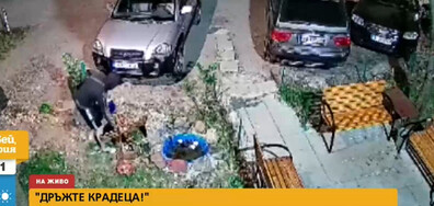 „ДРЪЖТЕ КРАДЕЦА”: Мъж задигна украса пред вход на блок (ВИДЕО)