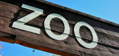 Бейби бум в зоопарка в Бургас (СНИМКИ)