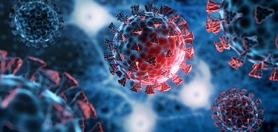 Нов рекорд на заразените с COVID-19 от началото на пандемията у нас