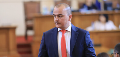 Пламен Абровски: Община Варна е уведомена за незаконна сеч, но е била с широко затворени очи