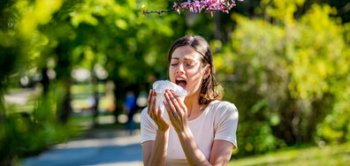 Как да се справим с алергиите през есента