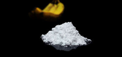 Полицията в Португалия залови 8 тона кокаин, укрит в пратки с банани