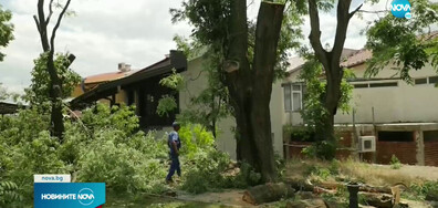 Силна буря удари Карлово и Калофер, дърво премаза две коли