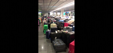 Хаос на летището във Франкурфт: Пътници търсят багажа си сред стотици куфари (ВИДЕО)