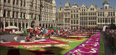 Цветният килим в Брюксел отново радва гостите и жителите на града (ВИДЕО)