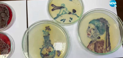 Студенти по медицина с изложба на уникални рисунки с микроби